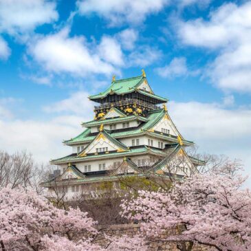 Youth Rugby Union Tours - Japan