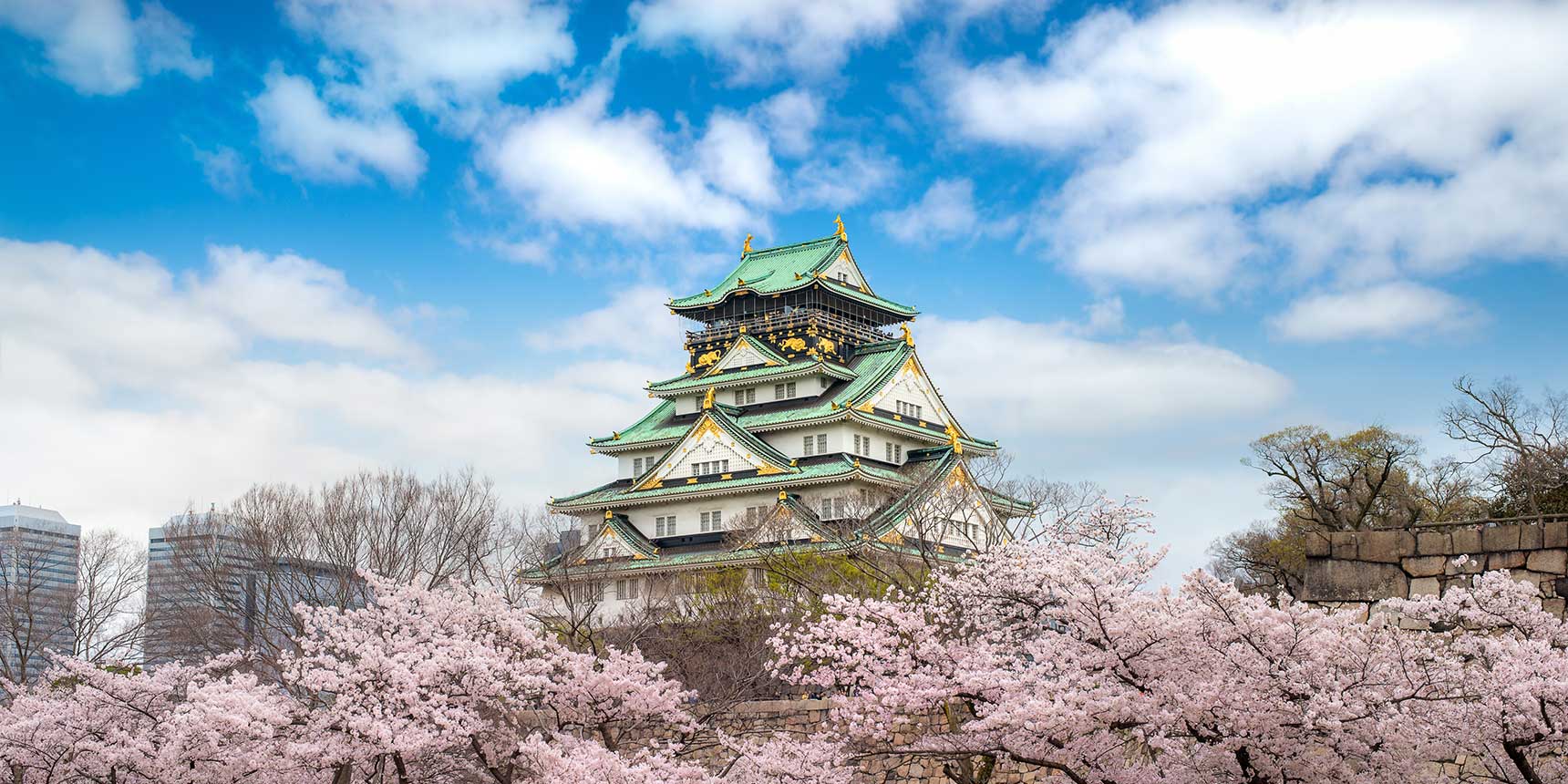 Youth Rugby Union Tours - Japan